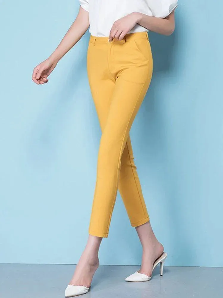 Sylis | High Waist Elastic Pants for Plus Size Women